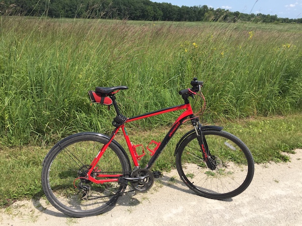 A red bicycle with black handlebars, seat, and tires, resting on its kickstand on a dirt path with a field of tall grass behind it, with green trees in the distant background