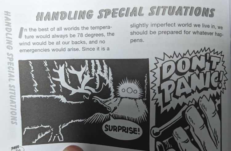 A screenshot of a page from a book, with text on the top and two black-and-white comic book-style drawings below, one of which features a drawing of a deer crossing a road at night, and the second of which features a hand about to grab a control level on a motorcycle handlebar along with the words 'DON'T PANIC' in capital letters