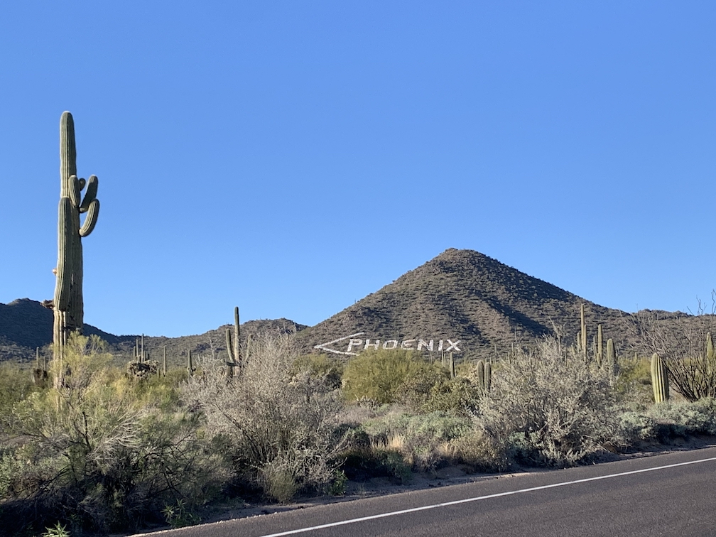 Cactus in the foreground, and in the background a small desert mountain, the side of which has an arrow and the word 'Phoenix' in large letters