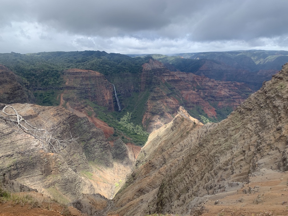 A steeply walled canyon with exposed rock going down several thousand feet, a waterfall, green vegetation, and part of a dead tree in the left foreground